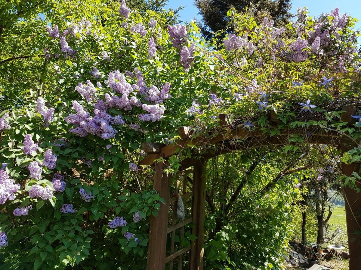 Ferienwohnung Eifelliebe Udler Exteriör bild